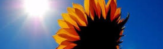 Mantra para el éxito comercial: Amul Gun (El 26º Pauri de Japji)